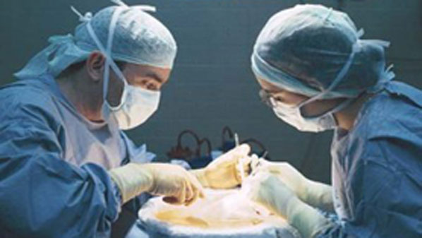 Трансплантація органів: життя після смерті