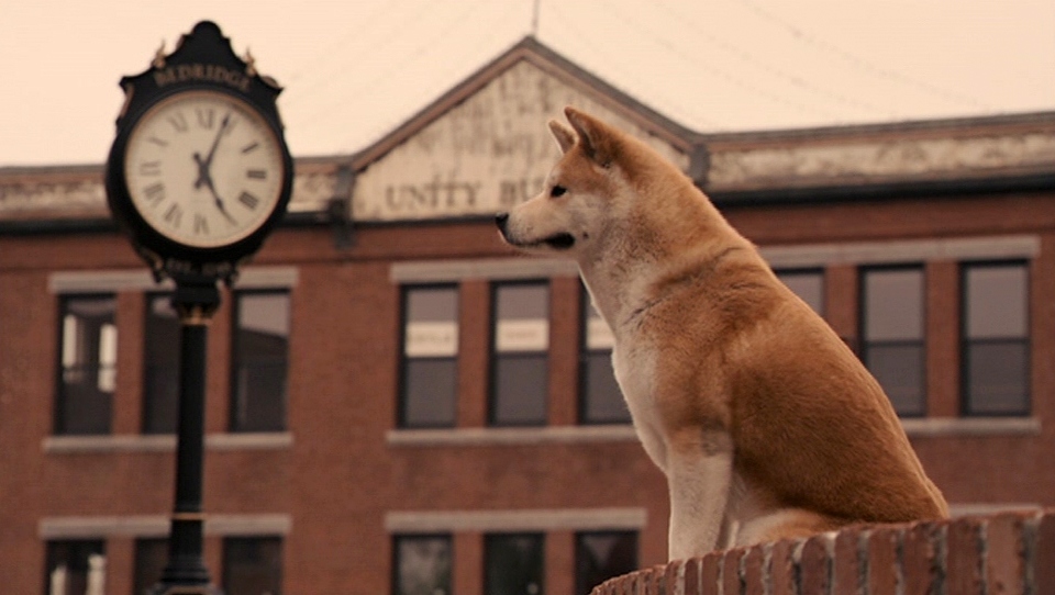 Найзворушливіші фільми про собак