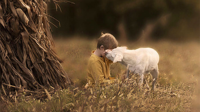 Душевні фотографії дитини та врятованої нею собаки