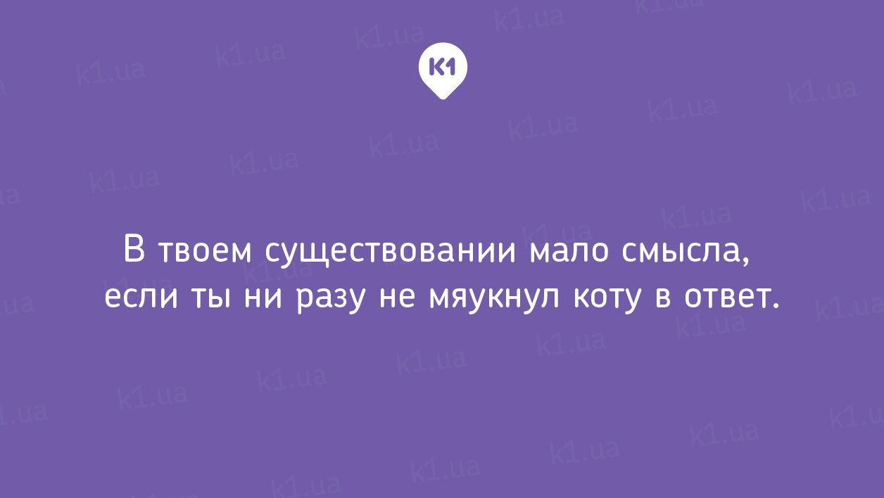20 кумедних і зворушливих листівок про кішок
