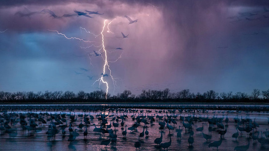 15 кращих фото року за версією National Geographic