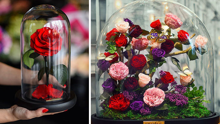 Чарівну троянду з фільму "Красуня і Чудовисько" тепер можна купити