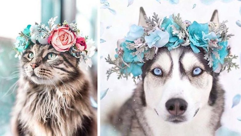 Художниця робить ніжні весняні корони з квітів для тварин