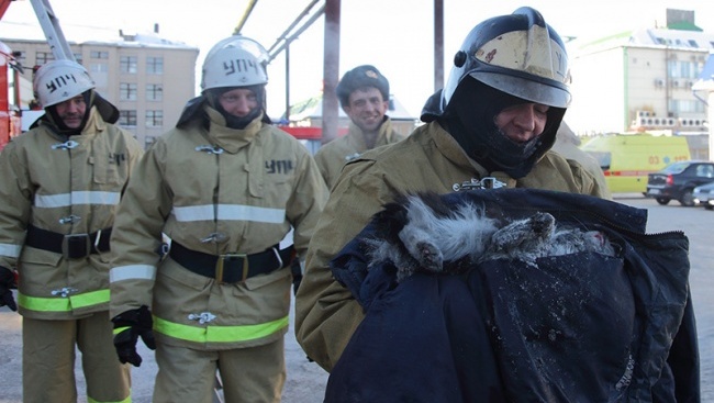 5 добрих історій січня