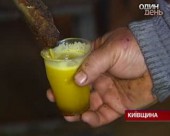Кореспонденти К1 перевіряють якість домашньої оліїї