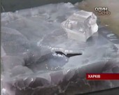 Найбільший у світі сапфір виростили харківські вчені з Інституту монокристалів