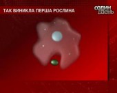 Американські вчені з'ясували, як виникли складні форми життя