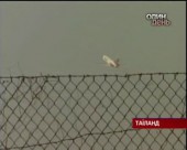 Частина українців повернеться з Бангкоку