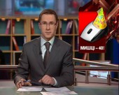 Компьютерна миша  святкує своє 40-річчя