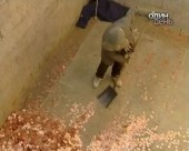 Китайці святкують Новий рік