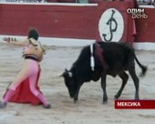 11-річний матадор здолав шість биків в одному бою