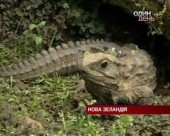Хто став батьком у 111 років?