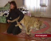 Родина Малько приручила лева, ведмедицю та крокодила