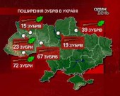Зубр опинився на грані знищення