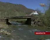 Екологія регіонів. Закарпаття