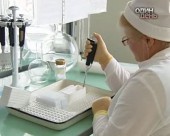Свинячий грип атакує світ