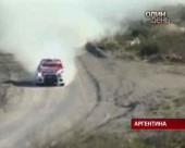 На ралі в Аргентині машина збила коня
