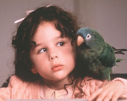 Кіно на К1: Полі: Історія папуги